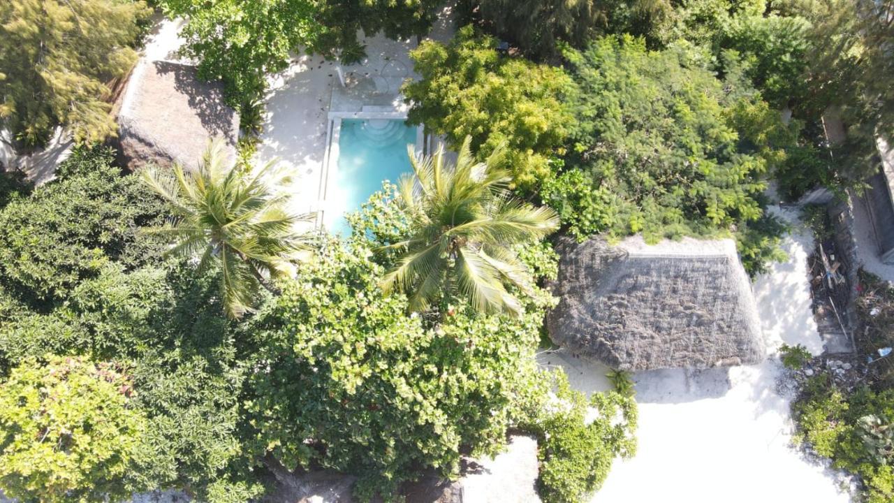 Garden Beach Bungalows Jambiani จัมเบียนี ภายนอก รูปภาพ