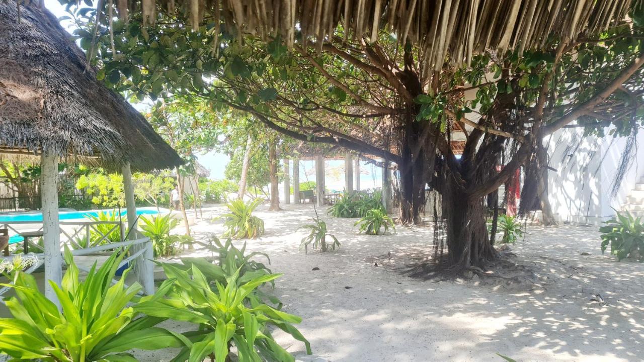 Garden Beach Bungalows Jambiani จัมเบียนี ภายนอก รูปภาพ