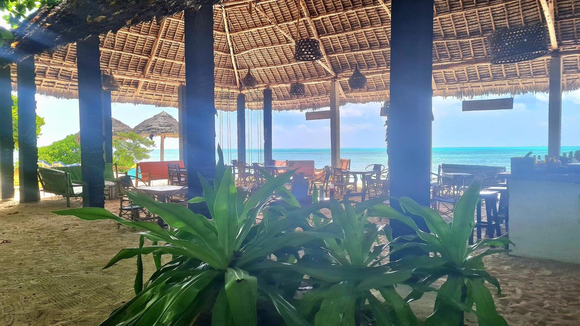 Garden Beach Bungalows Jambiani จัมเบียนี ภายนอก รูปภาพ